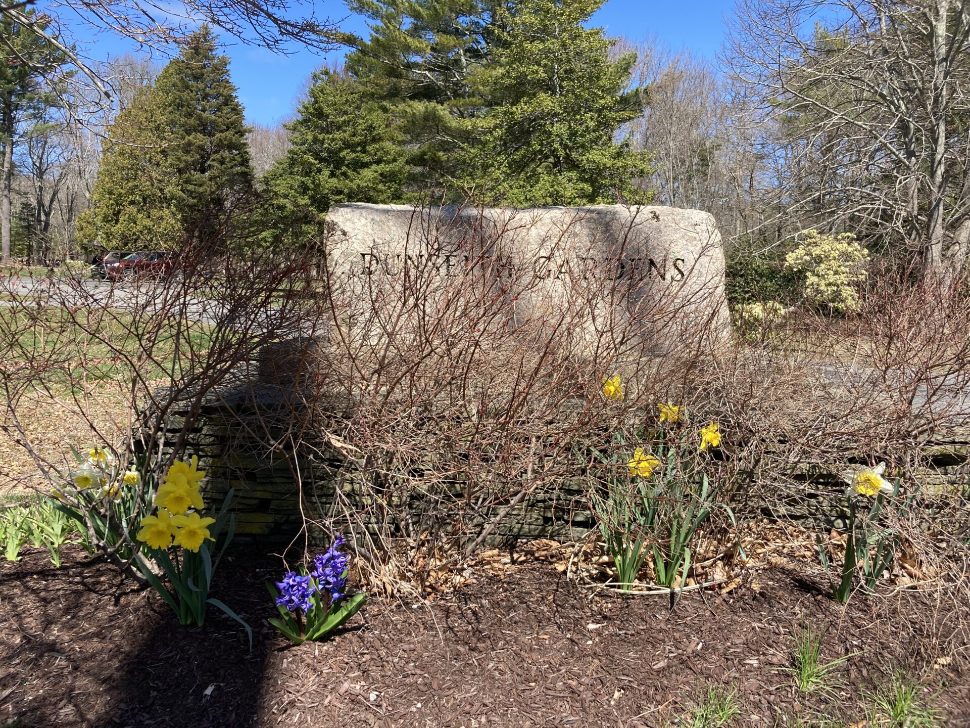 Dunseith Spring