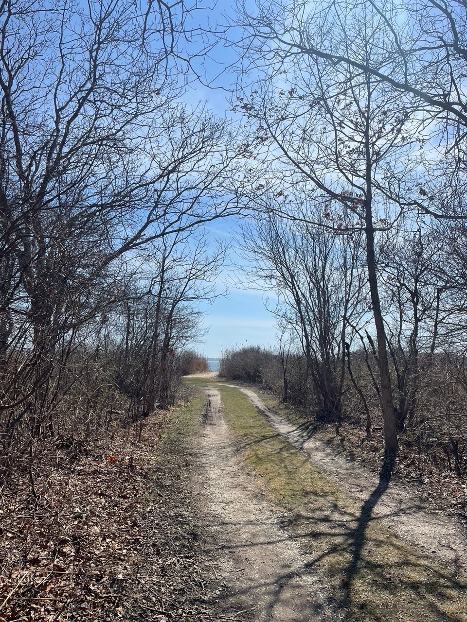 Munn path